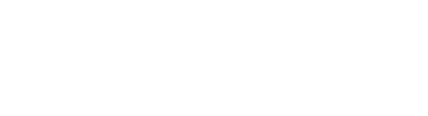 OrgSpring Logo White